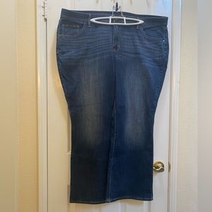 EVRI Bootcut Jeans 24WS